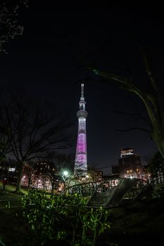 Tokyo Sky Tree and Tokyo Sky Tree. Shooting Location: Tokyo metropolitan area