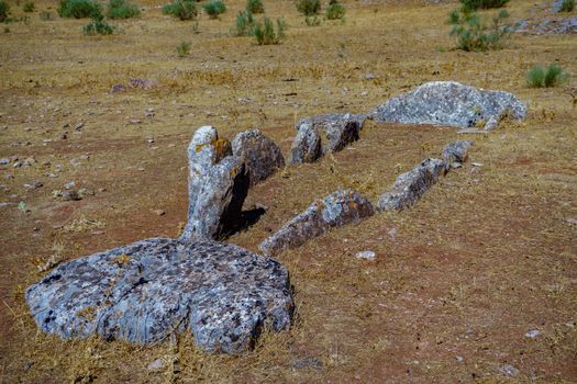 remains of the 6000 year old copper age dolmen of holm oaks found in the field