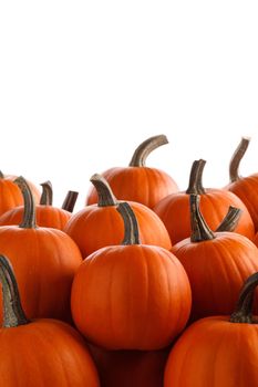 Heap of many orange pumpkins isolated on white background, Halloween day celebration concept, autumn harvest