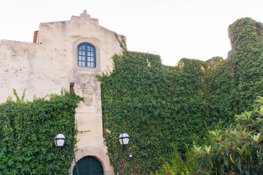 Ancient, entwined with greenery Forte de Sao Clemente in Vila Nova de Milfontes on the Sunset