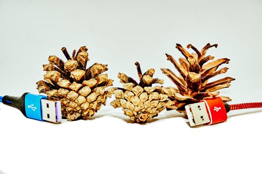 bring together or into contact so that a real or notional link is established. Two usb connecting plugs between fir cones on a white background