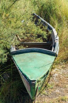 An old wooden boat abandoned in the thickets on the river bank close up