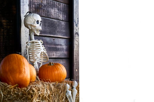 the night of October 31, the eve of All Saints' Day, commonly celebrated by children who dress in costume and go door asking for candy. Halloween skeleton on a hay, pumpkins and white space for text