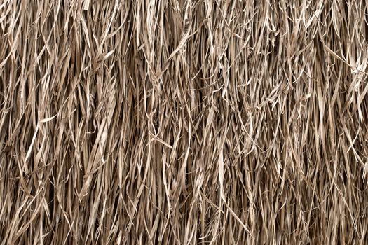 Straw texture. Tropic roof summer background