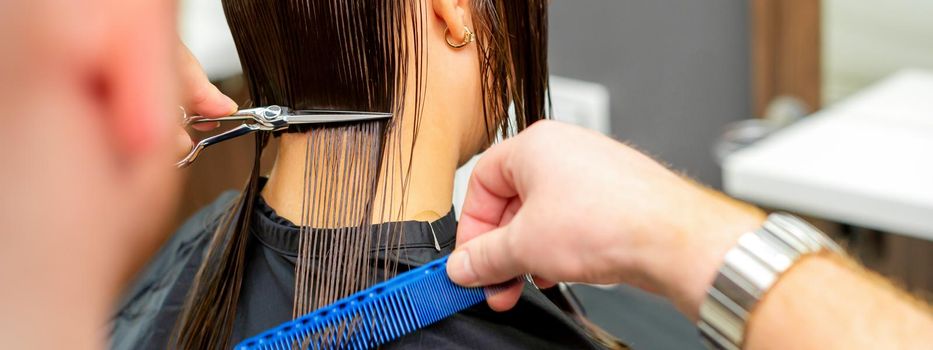 The male hairdresser cuts back female client's hair with scissors and comb in a beauty salon