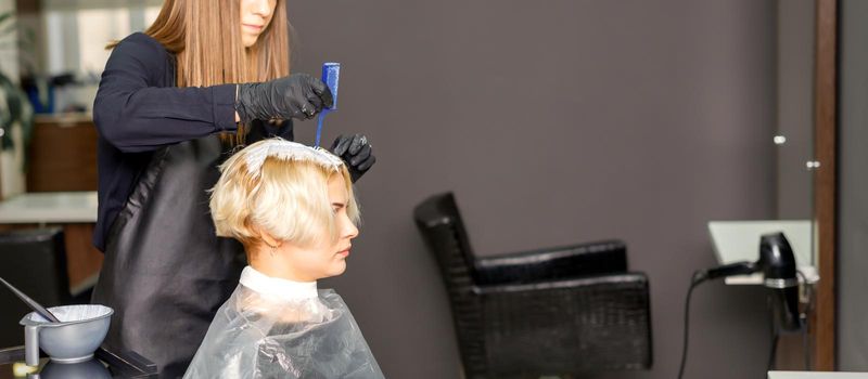 The professional hairdresser is dyeing the hair of her female client in a beauty salon