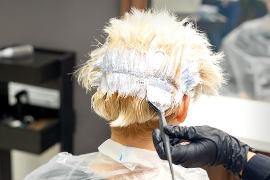 The professional hairdresser is dyeing the hair of her female client in a beauty salon