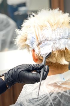 The professional hairdresser is dyeing the hair of her female client in a beauty salon