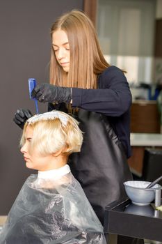 The professional hairdresser is dyeing the hair of her female client in a beauty salon