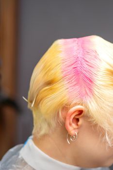 Young caucasian woman tints hair roots in pink color in a beauty salon