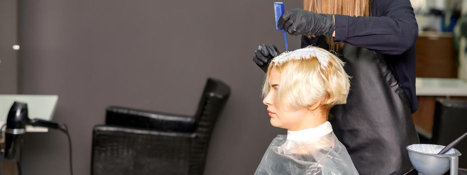 The professional hairdresser is dyeing the hair of her female client in a beauty salon