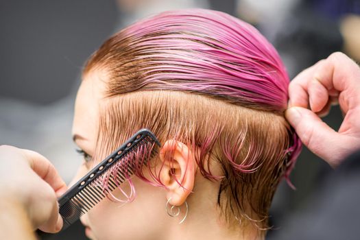 Combing the hair of a young woman during coloring hair in pink color at a hair salon close up