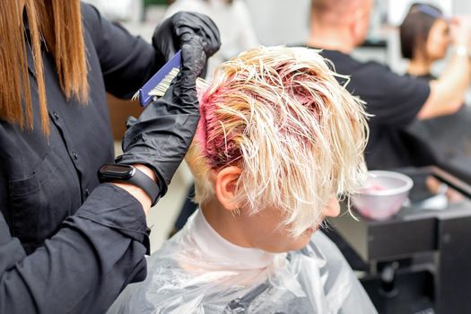The professional hairdresser uses a brush to apply the pink dye to the hair. Hair coloring concept