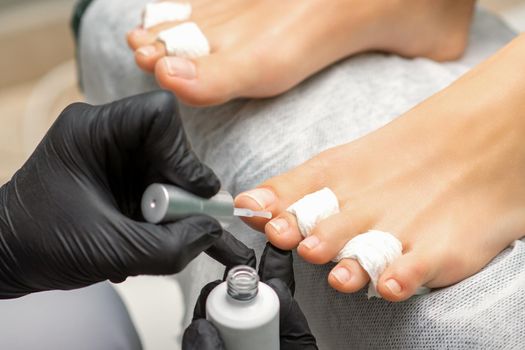 Pedicurist applying transparent varnish to the female toenails in a beauty salon
