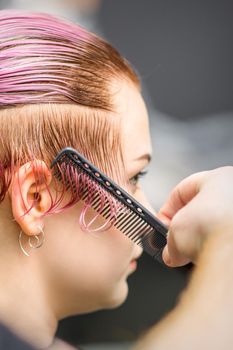 Combing the hair of a young woman during coloring hair in pink color at a hair salon close up