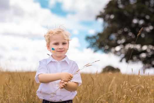 Stop War in Ukraine. Love Ukraine concept. Ukrainian boy with Ukrainina flag- yellow and blue painted on a cheek on a wheat field against blue sky background stands against war.