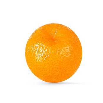 Isolated citrus fruit. One tangerine isolated on white background. Packaging concept. Full depth of field. Clip art image for package design.