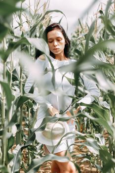 A brunette girl in a white dress in a cornfield. The concept of harvesting.