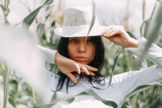 A brunette girl in a white dress in a cornfield. The concept of harvesting.