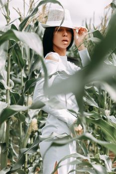 A brunette girl in a white dress in a cornfield. The concept of harvesting.