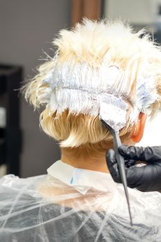 The professional hairdresser is dyeing the hair of her female client in a beauty salon