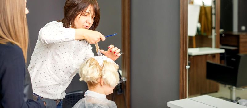 The professional hairdresser is dyeing the hair of her female client in a beauty salon