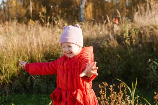 A little girl in a red coat walks in nature in an autumn grove. The season is autumn.