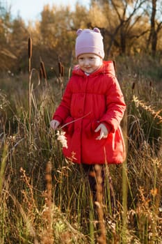 A little girl in a red coat walks in nature in an autumn grove. The season is autumn.