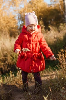 A little girl in a red coat walks in nature in an autumn grove. The season is autumn.