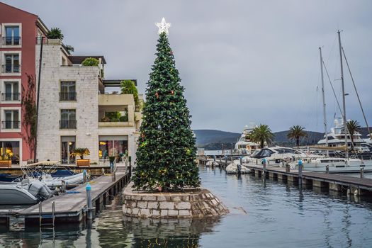 Christmas in the port. Montenegro, Porto Montenegro.