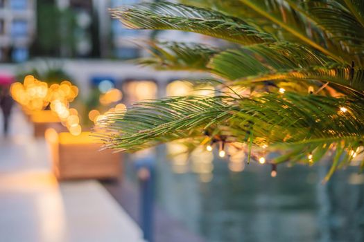 Christmas in the port. Montenegro, Porto Montenegro.