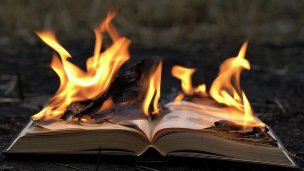 Burning in fire old open book on the ground.