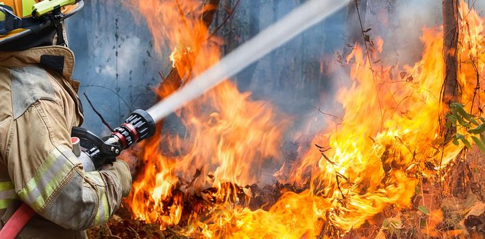 firefighters spray water to wildfire