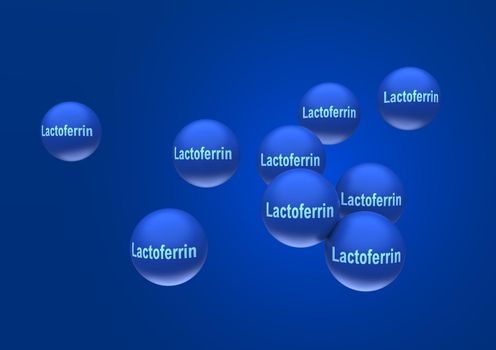 Abstract particles of lactoferrin in the form of blue balls with the inscription lactoferrin on a blue background. 3d rendering, medical illustration