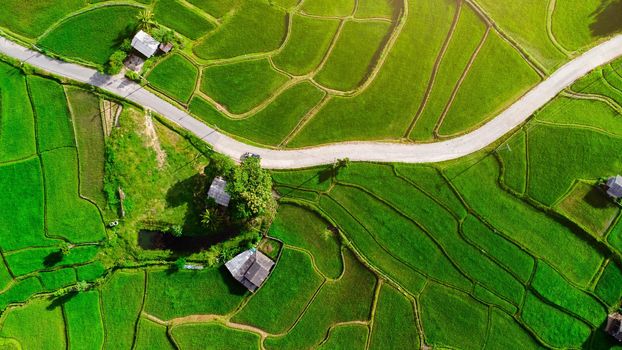 aerial view, agricultural, agriculture, asia, background, beautiful, conservation, countryside, cultivation, culture, ecology, environment, farm, farmland, field, flying, food, forest, grass, green, hill, hut, landscape, meadow, mountain, natural, nature, organic, outdoor, paddy, plant, plantation, rice, rural, scenery, scenic, sky, spring, summer, sunlight, sunny, terrace, thailand, tourism, travel, tree, tropical, vacation, valley, village