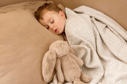 Little, cute caucasian boy sleeping on couch at home. Child taking day nap. Kid resting, relaxing with favorite fluffy toy. Sweet dreams, daily routine, healthy peaceful sleep. Cozy interior