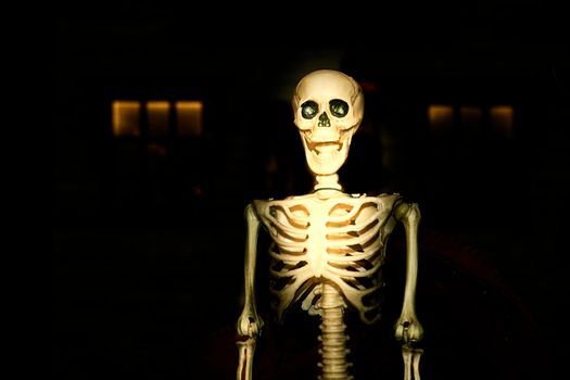 the night of October 31, the eve of All Saints' Day, commonly celebrated by children who dress in costume and go door asking for candy. Pale yellow poisonous halloween skeleton in dark black room