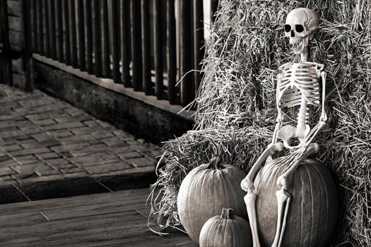 the night of October 31, the eve of All Saints' Day, commonly celebrated by children who dress in costume. Black white halloween skeleton on the hay with pumpkins on the pavement