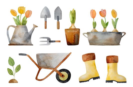 Spring garden set with tulip bouquet, tools and rubber boots watercolor painting. Cute aquarelle drawings with flowers, cart and watering can