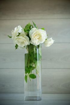 bouquet of beautiful white roses on a wooden table