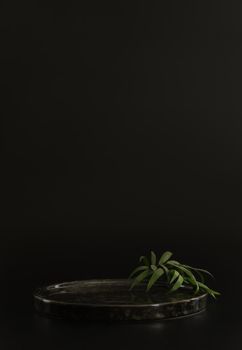 Black podium on the black background with tropical leaves. Podium for product, cosmetic presentation. Creative mock up. Pedestal or platform for beauty products. Minimalist design, vertical view.