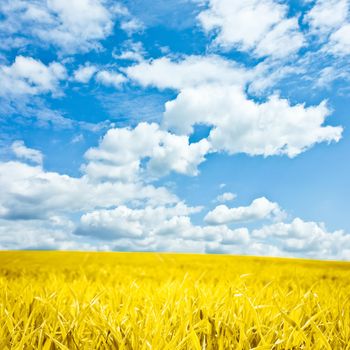 Landscape, agriculture and countryside meadow concept - Autumn rural field and cloudy blue sky, nature background