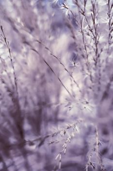 Rural landscape, pastel backdrop and environmental design concept - Vintage rustic grass and field, abstract nature background