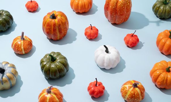 Pumpkin pattern, decorative pumpkins on a blue background high angle view. Autumn, fall, halloween concept. Trend shadow.