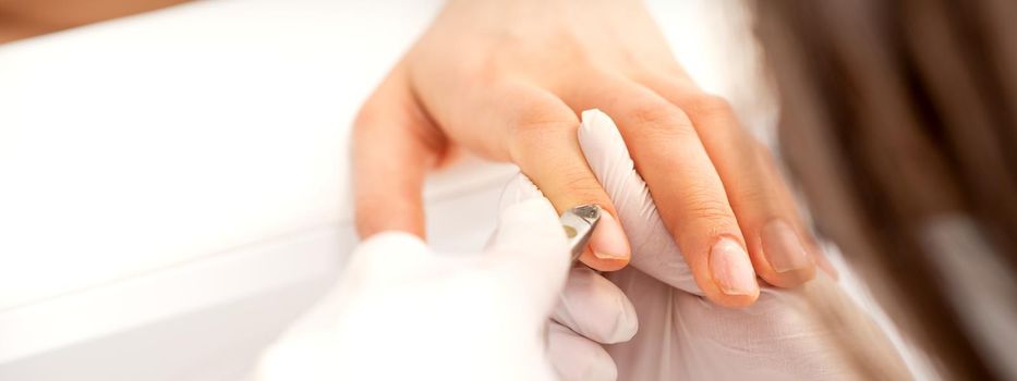 Manicure master uses manicure clippers removing cuticles on female nails in a beauty salon close up