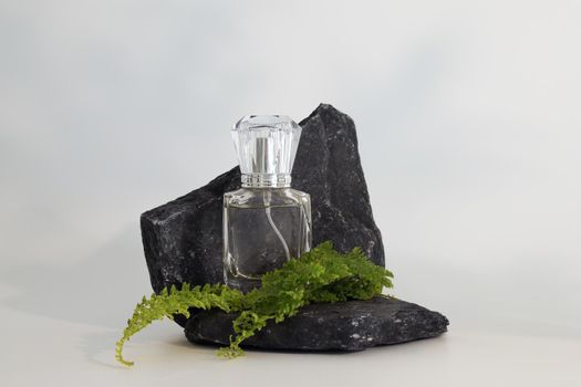 Unbranded perfume bottle standing on stone podium with plants. Perfume presentation on the white background. Mockup. Trending concept in natural materials. Women's and men's essence. Natural cosmetic