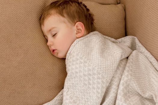 Little, cute caucasian boy sleeping on couch at home. Child taking day nap. Kid resting, relaxing. Sweet dreams, daily routine, healthy peaceful sleep. Cozy interior