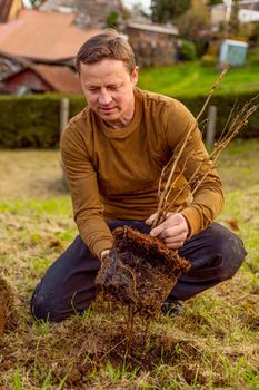 Man plants tree in the garden. Nature, environment and ecology concept