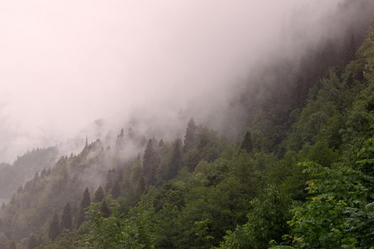 Mountain lake in the fog.