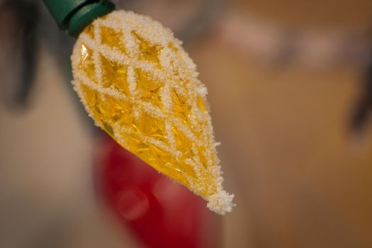 Christmas light on the tree.